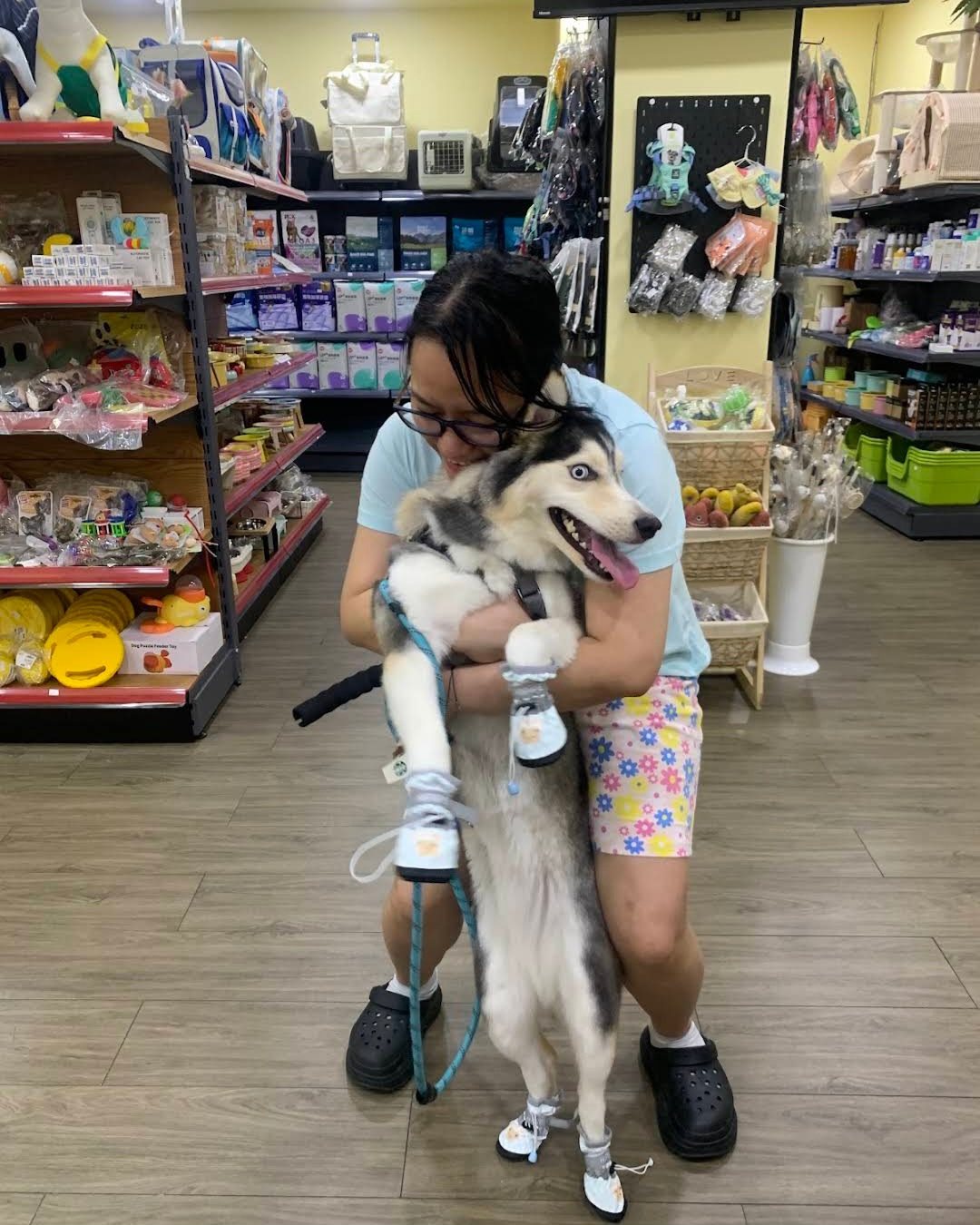 A Pet Moment team member with a happy husky in the Deira store